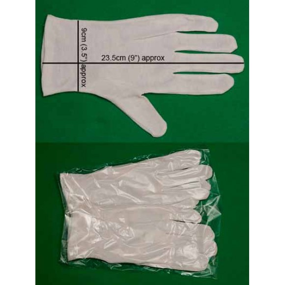 Cotton Gloves LARGE (Mens)  single pair